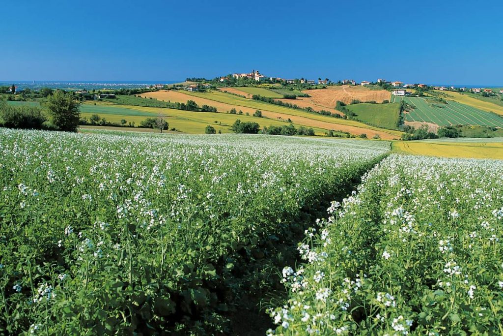 San Clemente, campagne della Valconca