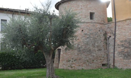 Castello di San Savino-Montescudo-Monte Colombo