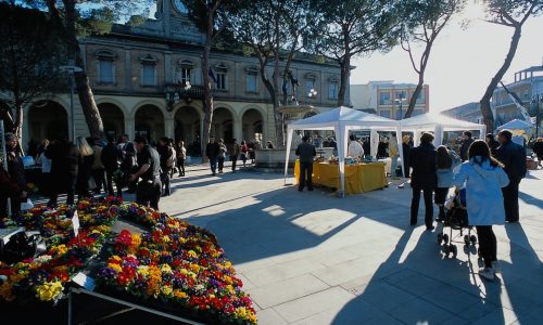 Centro storico di Morciano di Romagna con fiori