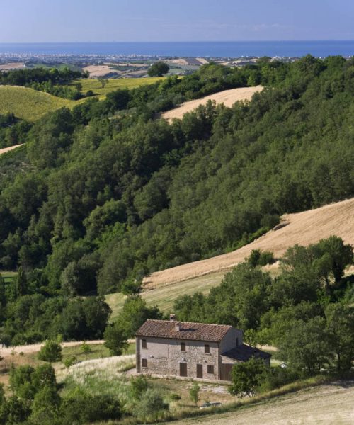 Panorama di Mondaino - vista San Teodoro