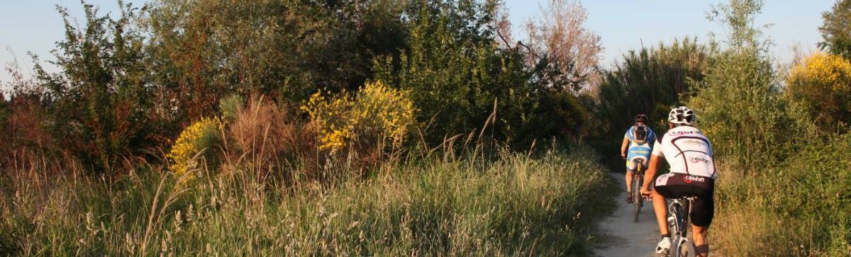 Escursioni in bicicletta a Morciano di Romagna