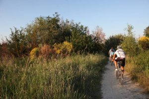Escursioni in bicicletta a Morciano di Romagna