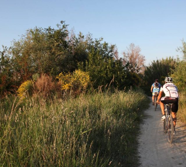 Escursioni in bicicletta a Morciano di Romagna