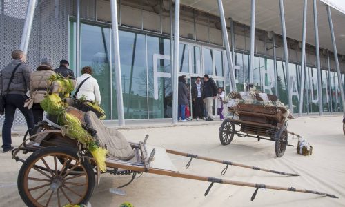 Padiglione fieristico di Morciano di Romagna