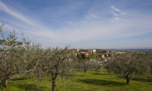 Paesaggio della Valconca a Trarivi di Montescudo-Monte Colombo