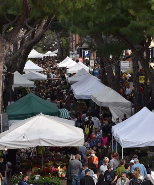 Cattolica, viale Bovio Festa dei Fiori