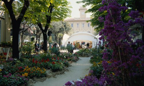 Cattolica in Fiore - manifestazione