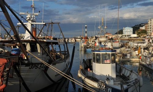 I pescherecci nel porto di Cattolica