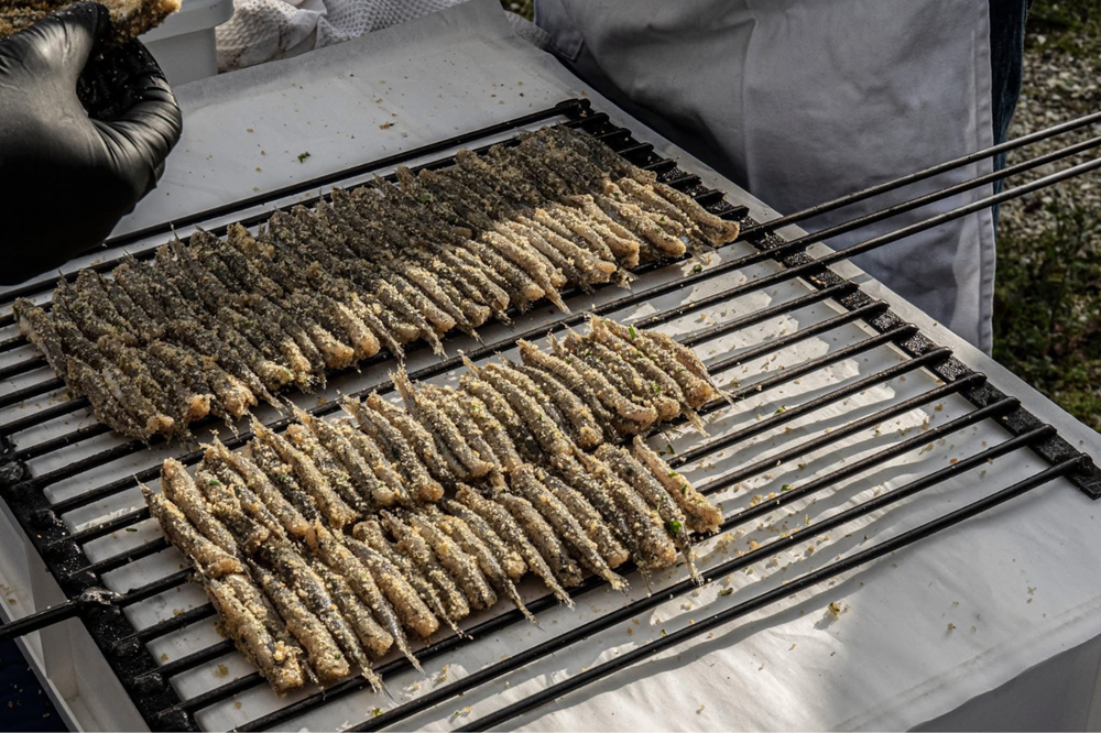 Sagra de Sardòn 2025 – San Savino di Montescudo – Monte Colombo