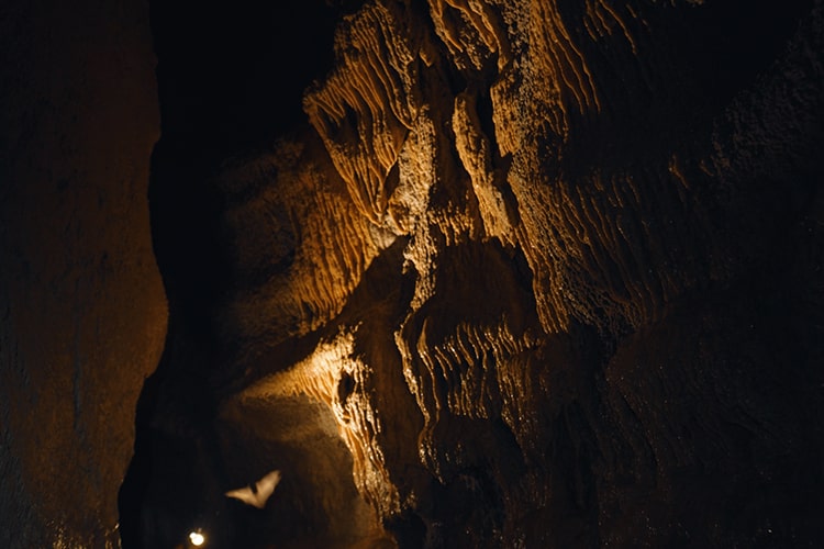 Pipistrelli dentro le Grotte di Onferno