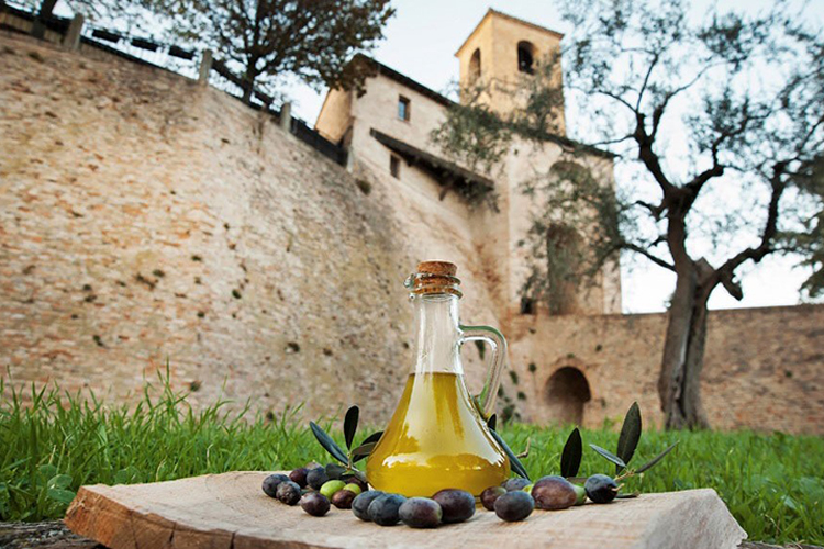 Olio extravergine di oliva a Montegridolfo - credits: foto di Serena Borghini